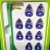 Subbuteo La Leggenda Italy 2006 World Cup Winners